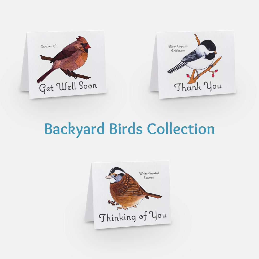 16 GREETING CARDS - Unique Laser Printed Cards from Hand Drawn Originals (multiple occasions) (Snail Mail)