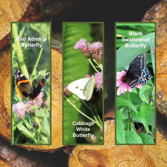 14 BOOKMARK COLLECTION (Butterflies) - Butterfly Photo Bookmarks - Set of 3 Butterfly Bookmarks - Book Lover Gift - Gift for Reader - Literacy Project