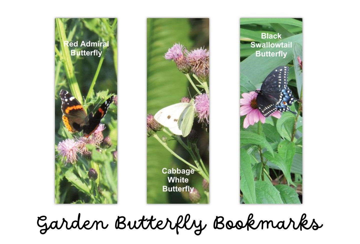 13 BOOKMARK COLLECTION (Butterflies) - Butterfly Photo Bookmarks - Set of 3 Butterfly Bookmarks - Book Lover Gift - Gift for Reader (Stationery & More) (Literacy Project)