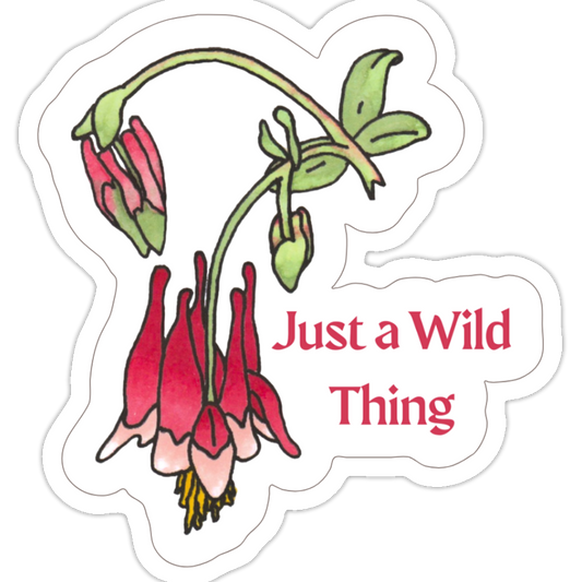 13 STICKERS - STATEMENT STICKERS - Wild Flower Die-Cut Sticker Set - Just a Wild Thing Sticker - Hear Me Roar Sticker - 2" x 2" Stickers - Literacy Project (Snail Mail)