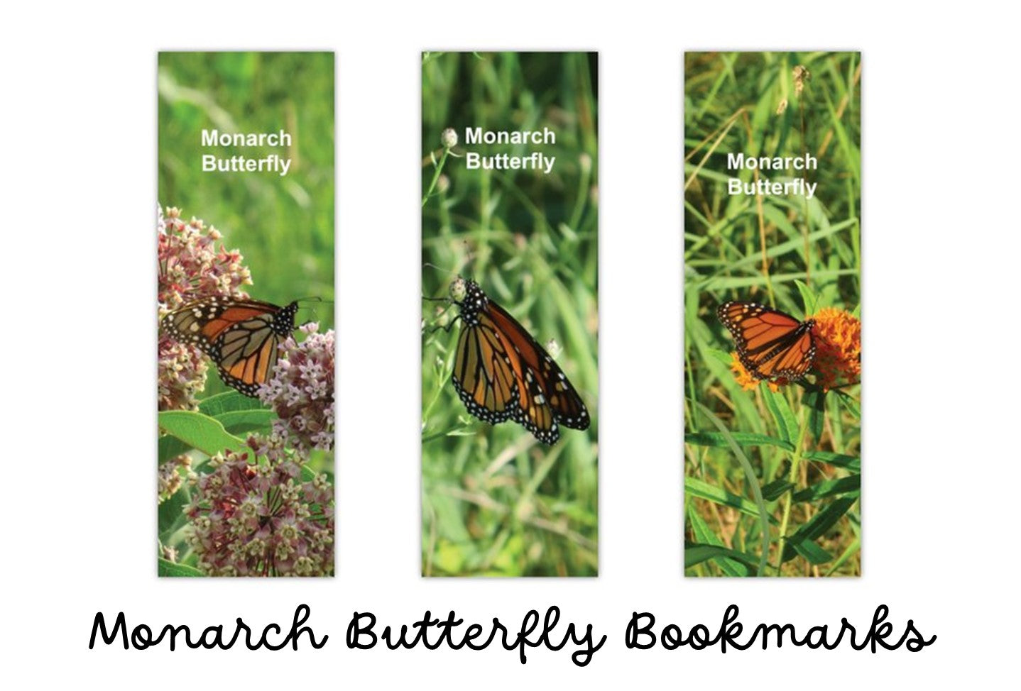 13 BOOKMARK COLLECTION (Butterflies) - Butterfly Photo Bookmarks - Set of 3 Butterfly Bookmarks - Book Lover Gift - Gift for Reader (Stationery & More) (Literacy Project)