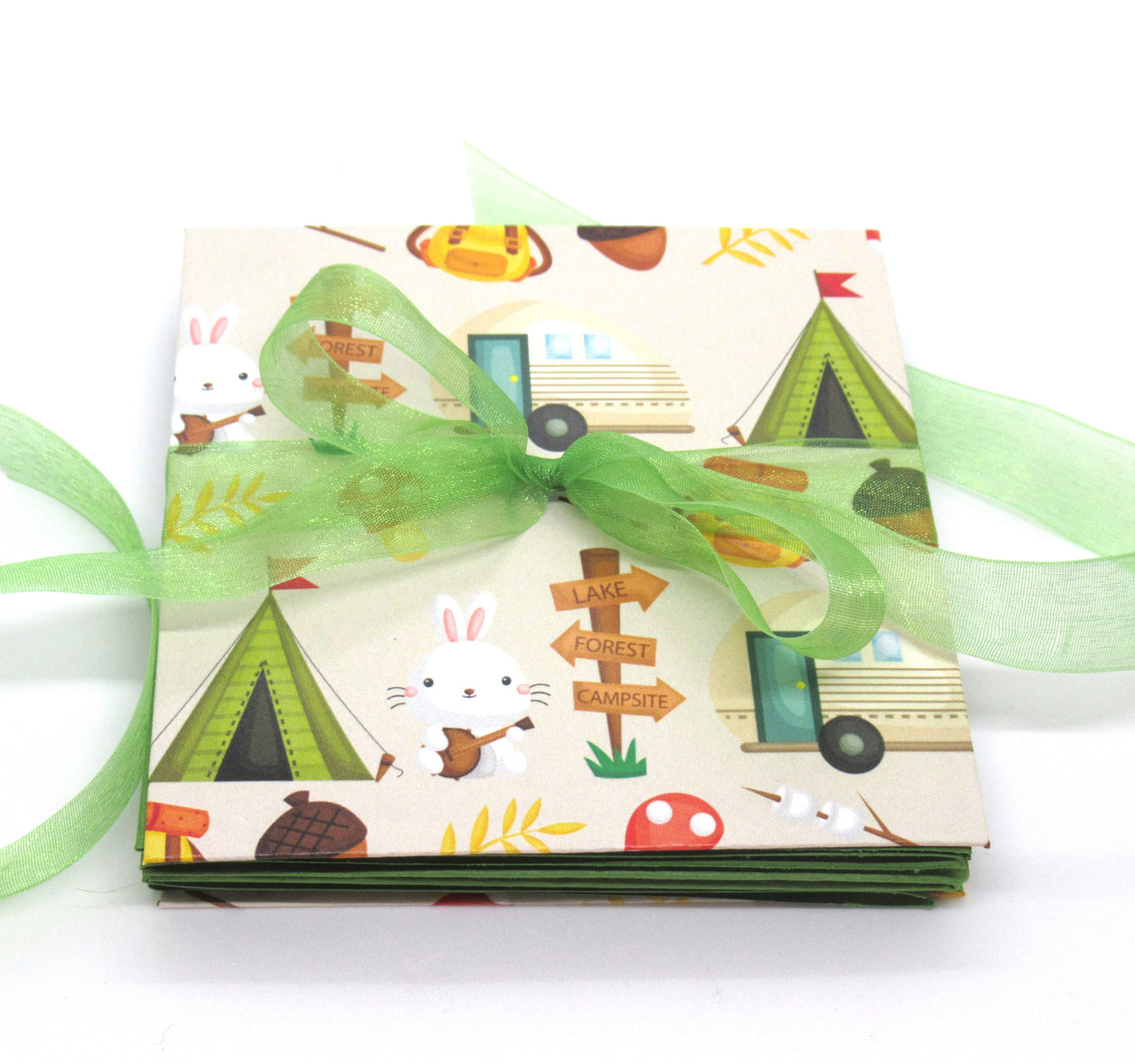08 ALBUM - Deluxe ACCORDION Mini ALBUMS (multiple themes) - Handcrafted Photo Album - Stationery - Literacy Project - Mini Memory Book - Mini Pet Album - Mini Brag Book