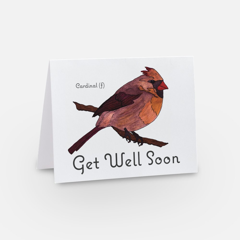 Cards - Backyard Bird Card Bundle - Thank You Card - Thinking of You Card - Get Well Soon Card - Set of 3 Cards (Stationery & More) (Literacy Project) (Snail Mail)