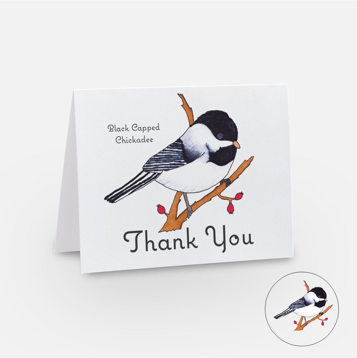 Cards - Thank You Card Bundle - Thank You Card for Gift - Thank You Cards to Show Appreciation of Thoughtfulness - Set of 3 Cards (Stationery & More) (Literacy Project) (Snail Mail)