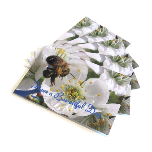 Postcard (Nature) - Bee & Cherry Blossom Postcards - Bee-utiful Day Postcards - Set of 5 Positive Postcards (Stationery & More) (Snail Mail)