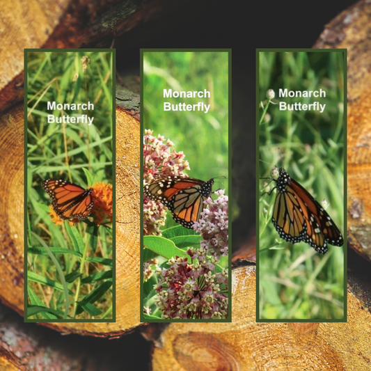 12 BOOKMARK COLLECTION (Butterflies) - Butterfly Photo Bookmarks - Set of 3 Butterfly Bookmarks - Book Lover Gift - Gift for Reader (Stationery & More) (Literacy Project)
