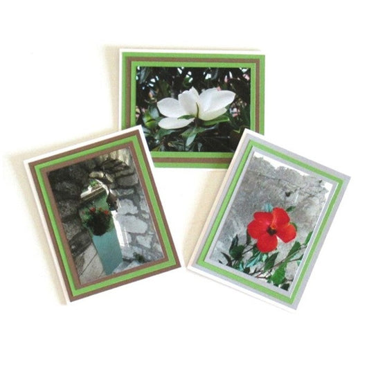 Cards - Photo Note Cards - Annecy, France Floral Photo Note Cards - Set of 3 - Magnolia, Hibiscus and Geranium Floral Note Cards (Stationery & More) (Snail Mail)