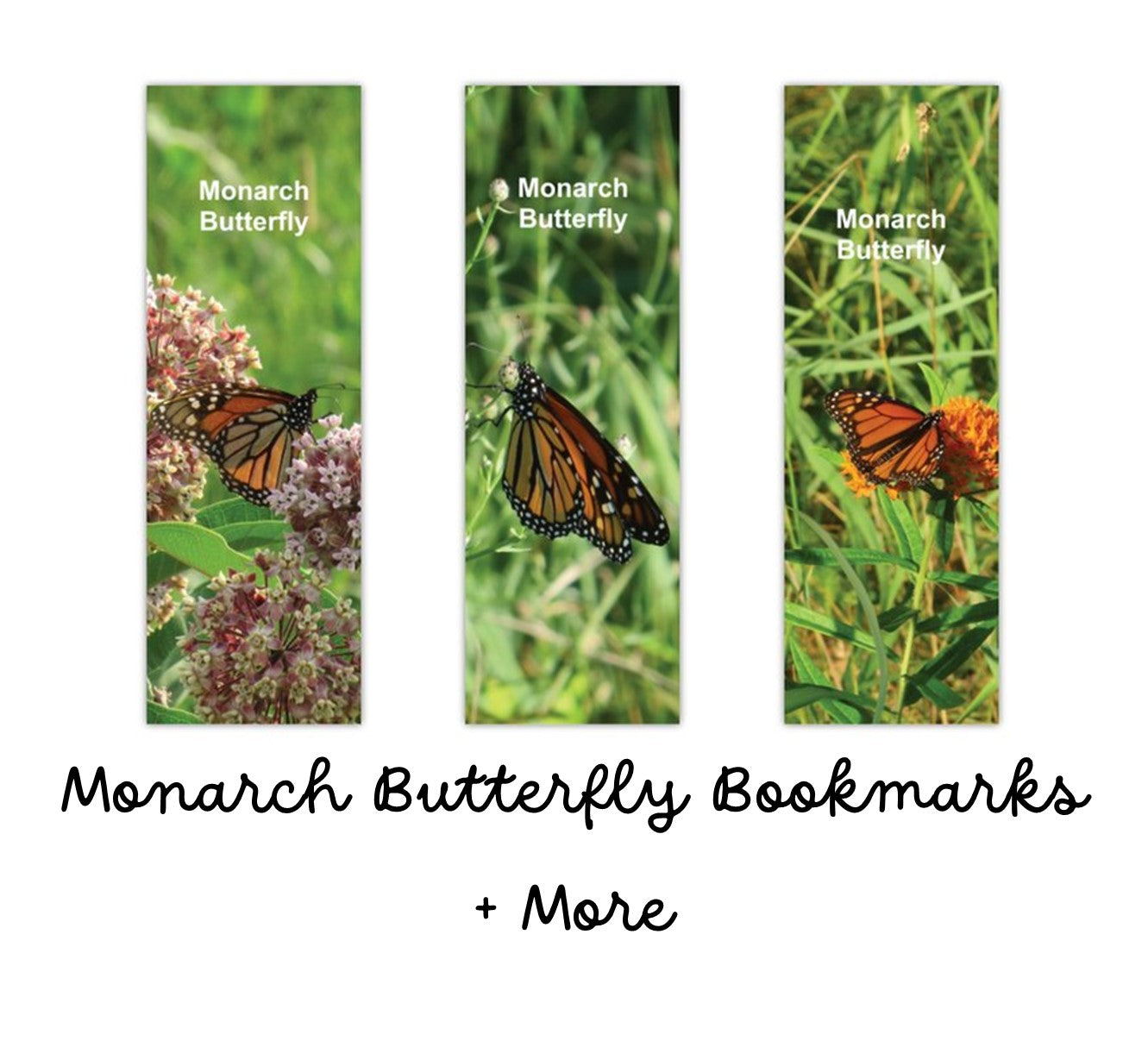 23 BOOKMARK COLLECTION (Butterflies) - Butterfly Photo Bookmarks - Set of 3 Butterfly Bookmarks - Book Lover Gift - Gift for Reader (Stationery & More) (Literacy Project)