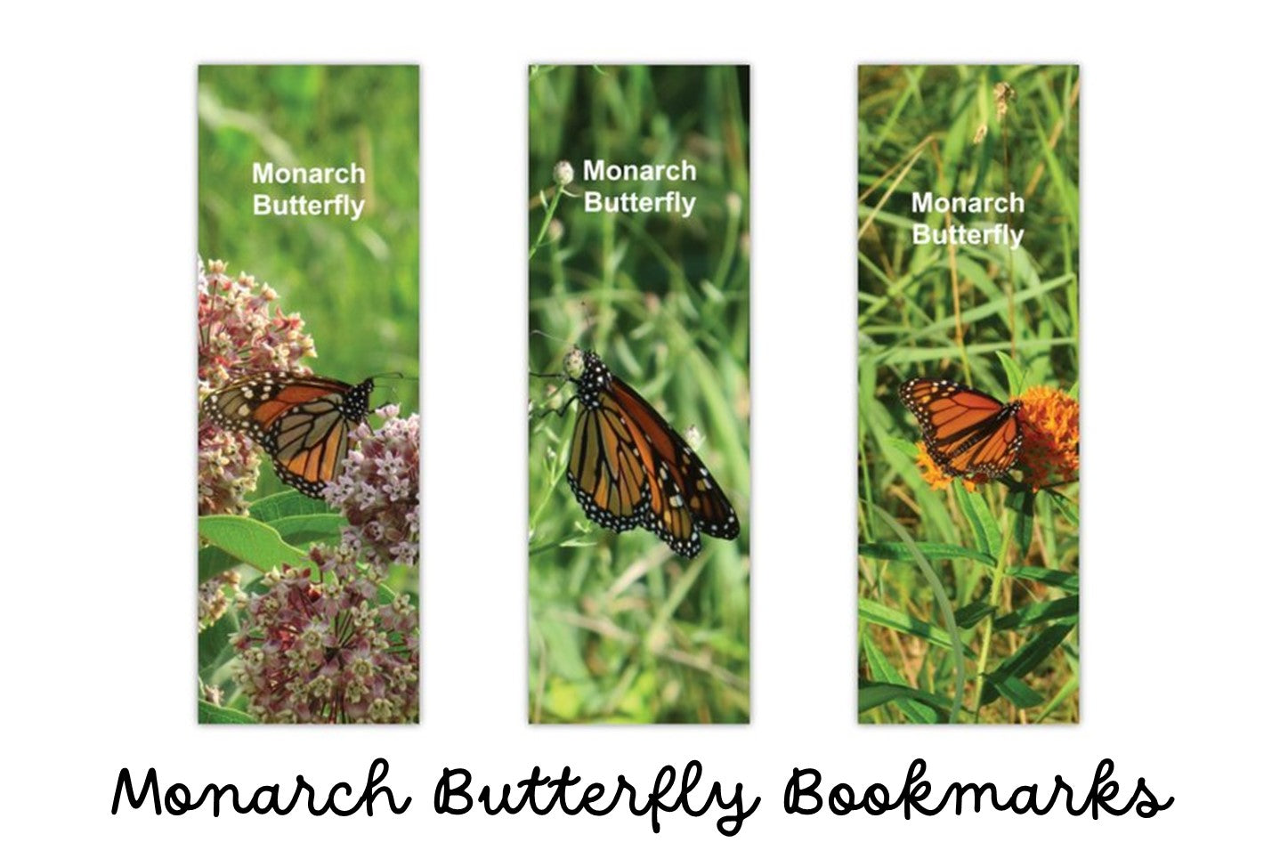 23 BOOKMARK COLLECTION (Butterflies) - Butterfly Photo Bookmarks - Set of 3 Butterfly Bookmarks - Book Lover Gift - Gift for Reader (Stationery & More) (Literacy Project)