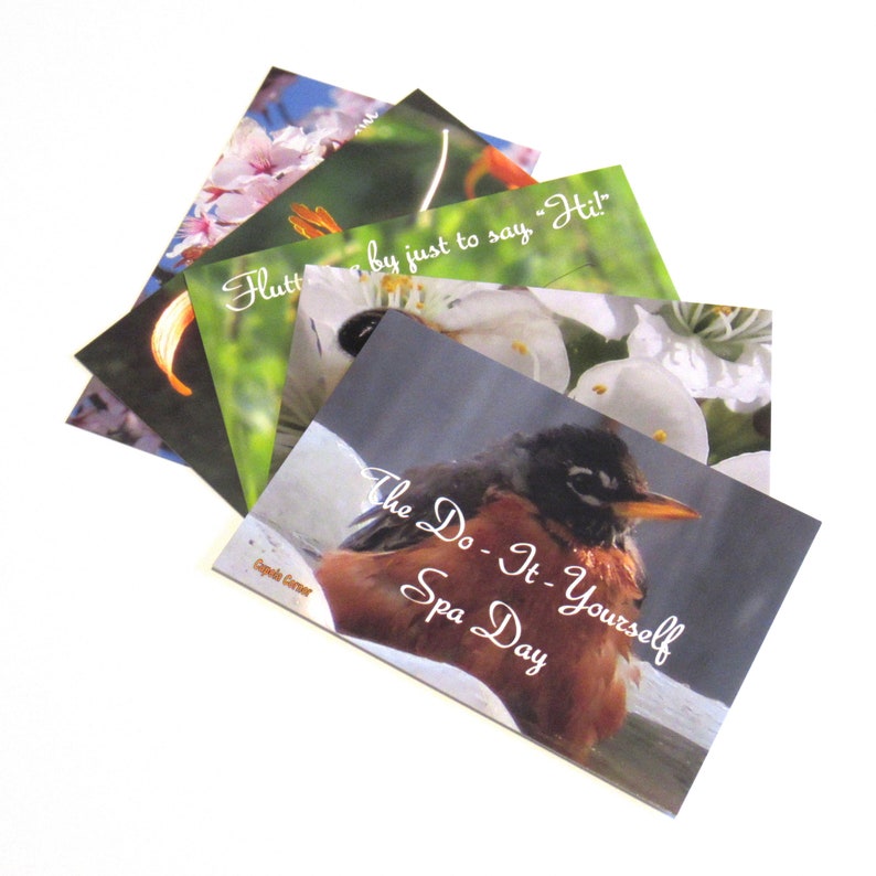 Postcard (Nature) - Set of Nature Photo Postcards - Set of 5 Different Positive Postcards - Flower, Bee, Butterfly and Bird Postcards for Friends (Stationery & More) (Snail Mail)