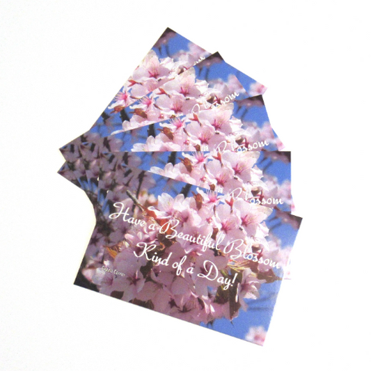 Postcard (Nature) - Pink Cherry Blossom Postcards - Beautiful Blossom Postcards - Set of 5 Positive Postcards (Stationery & More) (Snail Mail)