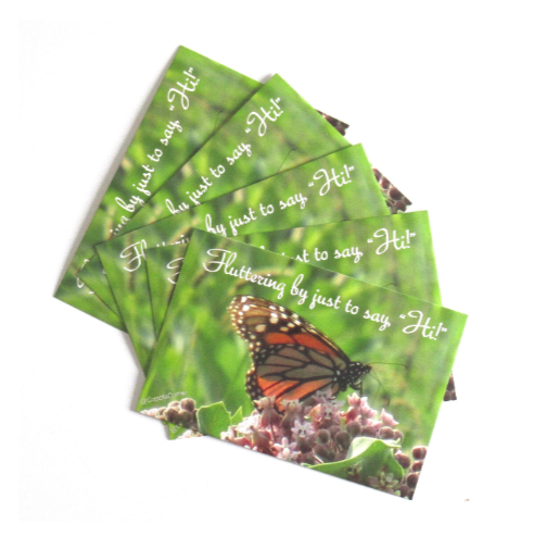 Postcard (Nature) - Monarch Butterfly Postcards - Fluttering By Postcards - Set of 5 Positive Postcards (Stationery & More) (Snail Mail)