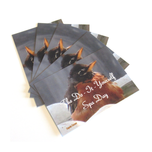Postcard (Nature) - Baby Robin Postcards - The DIY Spa Day Postcards - Set of 5 Positive Postcards (Stationery & More) (Snail Mail)