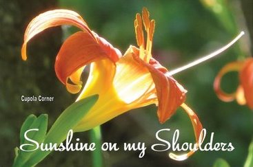Postcard (Nature) - Tiger Lily Postcards - Sunshine on my Shoulders Postcards - Set of 5 Positive Postcards (Stationery & More) (Snail Mail)